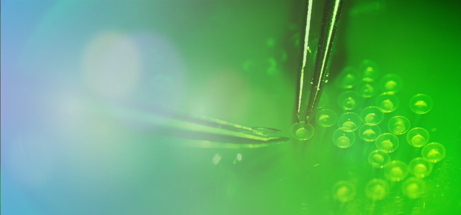 Voies de l'accès ouvert