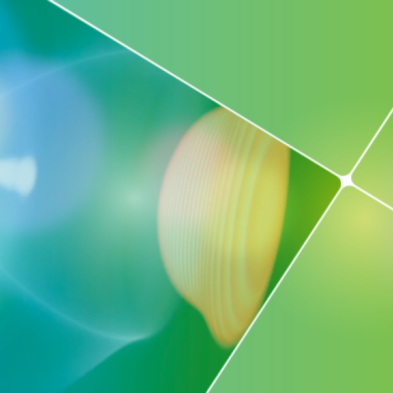 Publier ses données