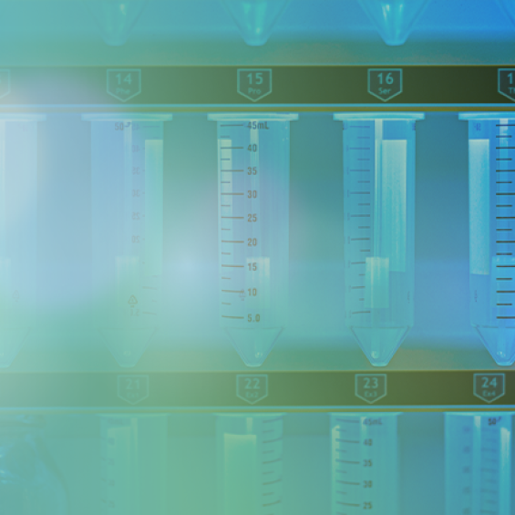 Protection des données personnelles