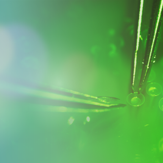 Voies de l'accès ouvert